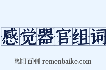 感觉器官组词是什么意思的图片